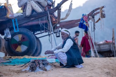 Puşkar, Rajasthan, Hindistan - 10 Kasım 2024: Geleneksel beyaz giysili rajasthani erkek portresi çöl panayırında renkli türbanlı deve fuarı sırasında develeri takas etmek için.