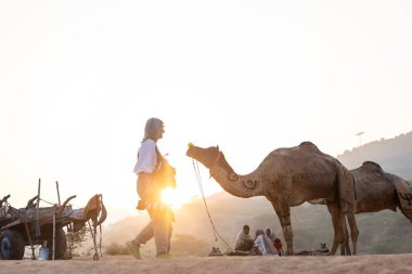Puşkar, Rajasthan, Hindistan - 10 Kasım 2024: Geleneksel beyaz giysili rajasthani erkek portresi çöl panayırında renkli türbanlı deve fuarı sırasında develeri takas etmek için.