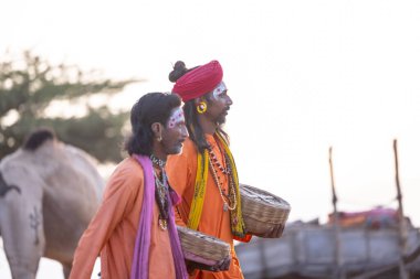 Puşkar, Rajasthan, Hindistan - 10 Kasım 2024: Geleneksel beyaz giysili rajasthani erkek portresi çöl panayırında renkli türbanlı deve fuarı sırasında develeri takas etmek için.