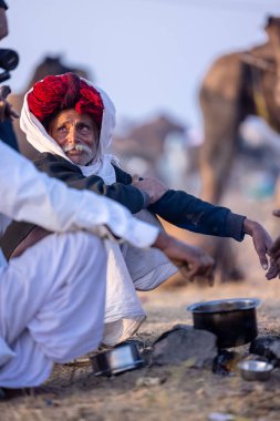 Puşkar, Rajasthan, Hindistan - 10 Kasım 2024: Geleneksel beyaz giysili rajasthani erkek portresi çöl panayırında renkli türbanlı deve fuarı sırasında develeri takas etmek için.