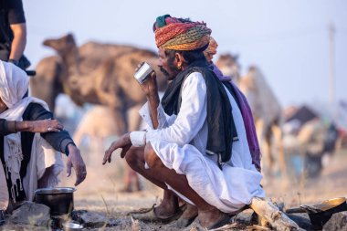 Puşkar, Rajasthan, Hindistan - 10 Kasım 2024: Geleneksel beyaz giysili rajasthani erkek portresi çöl panayırında renkli türbanlı deve fuarı sırasında develeri takas etmek için.