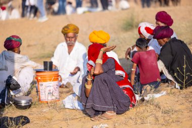 Puşkar, Rajasthan, Hindistan - 10 Kasım 2024: Deve ticareti için develer fuarı sırasında çöl panayırı.