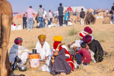 Puşkar, Rajasthan, Hindistan - 10 Kasım 2024: Deve ticareti için develer fuarı sırasında çöl panayırı.