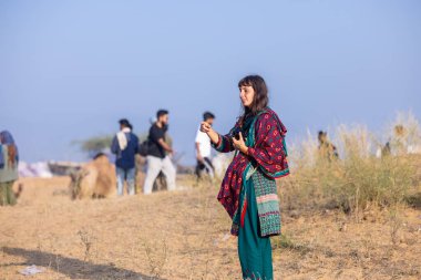 Puşkar, Rajasthan, Hindistan - 10 Kasım 2024: Deve ticareti için develer fuarı sırasında çöl panayırı.