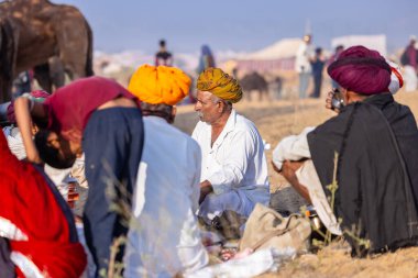 Puşkar, Rajasthan, Hindistan - 10 Kasım 2024: Deve ticareti için develer fuarı sırasında çöl panayırı.