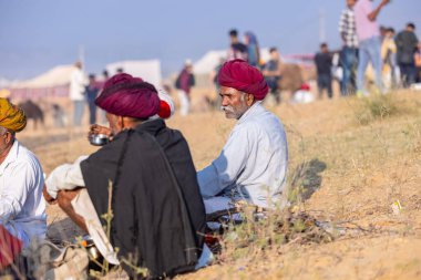 Puşkar, Rajasthan, Hindistan - 10 Kasım 2024: Deve ticareti için develer fuarı sırasında çöl panayırı.