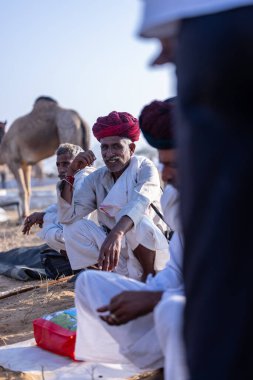 Puşkar, Rajasthan, Hindistan - 10 Kasım 2024: Deve ticareti için develer fuarı sırasında çöl panayırı.