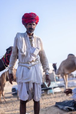 Puşkar, Rajasthan, Hindistan - 10 Kasım 2024: Deve ticareti için develer fuarı sırasında çöl panayırı.