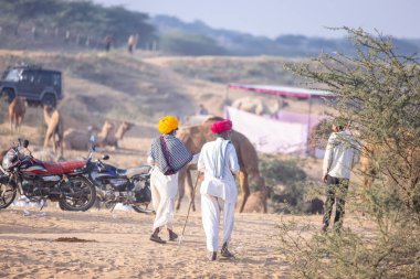 Puşkar, Rajasthan, Hindistan - 10 Kasım 2024: Deve ticareti için develer fuarı sırasında çöl panayırı.
