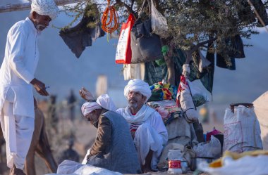 Puşkar, Rajasthan, Hindistan - 10 Kasım 2024: Deve ticareti için develer fuarı sırasında çöl panayırı.