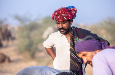 Puşkar, Rajasthan, Hindistan - 10 Kasım 2024: Deve ticareti için develer fuarı sırasında çöl panayırı.