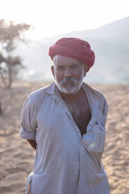 Puşkar, Rajasthan, Hindistan - 10 Kasım 2024: Deve ticareti için develer fuarı sırasında çöl panayırı.