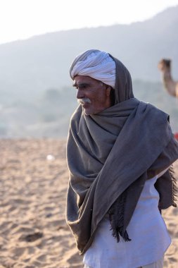 Puşkar, Rajasthan, Hindistan - 10 Kasım 2024: Deve ticareti için develer fuarı sırasında çöl panayırı.