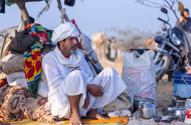 Puşkar, Rajasthan, Hindistan - 10 Kasım 2024: Deve ticareti için develer fuarı sırasında çöl panayırı.