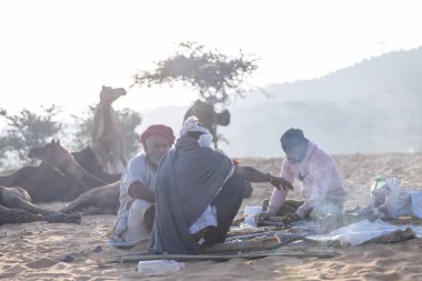 Puşkar, Rajasthan, Hindistan - 10 Kasım 2024: Deve ticareti için develer fuarı sırasında çöl panayırı.