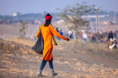 Puşkar, Rajasthan, Hindistan - 10 Kasım 2024: Deve ticareti için develer fuarı sırasında çöl panayırı.