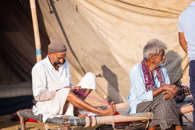 Puşkar, Rajasthan, Hindistan - 10 Kasım 2024: Deve ticareti için develer fuarı sırasında çöl panayırı.