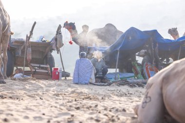 Puşkar, Rajasthan, Hindistan - 10 Kasım 2024: Deve ticareti için develer fuarı sırasında çöl panayırı.