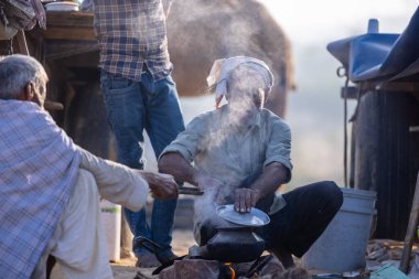 Puşkar, Rajasthan, Hindistan - 10 Kasım 2024: Deve ticareti için develer fuarı sırasında çöl panayırı.