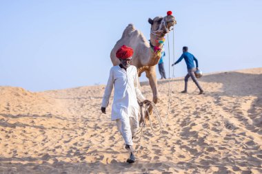 Puşkar, Rajasthan, Hindistan - 10 Kasım 2024: Deve ticareti için develer fuarı sırasında çöl panayırı.