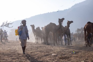 Puşkar, Rajasthan, Hindistan - 10 Kasım 2024: Geleneksel beyaz giysili rajasthani erkek portresi çöl panayırında renkli türbanlı deve fuarı sırasında develeri takas etmek için.