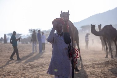 Puşkar, Rajasthan, Hindistan - 10 Kasım 2024: Geleneksel beyaz giysili rajasthani erkek portresi çöl panayırında renkli türbanlı deve fuarı sırasında develeri takas etmek için.