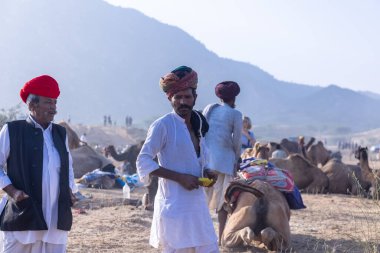 Puşkar, Rajasthan, Hindistan - 10 Kasım 2024: Geleneksel beyaz giysili rajasthani erkek portresi çöl panayırında renkli türbanlı deve fuarı sırasında develeri takas etmek için.