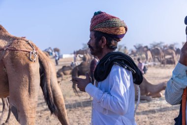 Puşkar, Rajasthan, Hindistan - 10 Kasım 2024: Geleneksel beyaz giysili rajasthani erkek portresi çöl panayırında renkli türbanlı deve fuarı sırasında develeri takas etmek için.