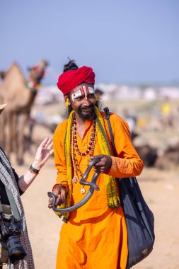 Pushkar, Rajasthan, Hindistan - 10 Kasım 2024: İtme kar deve fuarı sırasında açık zeminde renkli türbanlı kobra yılanı tutan genç yılan oynatıcısı erkek portresi.