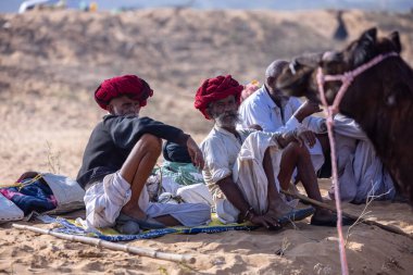 Puşkar, Rajasthan, Hindistan - 10 Kasım 2024: Geleneksel giysili rajasthani erkek portresi çöl panayırında renkli türbanlarla deve pazarında deve ticareti yaparken.