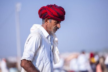 Puşkar, Rajasthan, Hindistan - 10 Kasım 2024: Deve ticareti sırasında geleneksel beyaz giysili rajasthani erkek portresi.