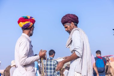 Puşkar, Rajasthan, Hindistan - 10 Kasım 2024: Geleneksel giysili rajasthani erkek portresi çöl panayırında renkli türbanlarla deve pazarında deve ticareti yaparken.