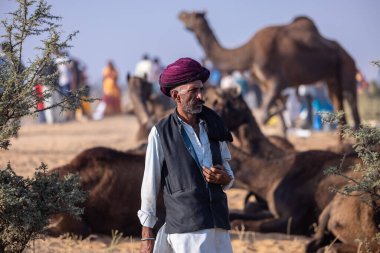 Pushkar, Rajasthan, India - November 10, 2024: Portrait of rajasthani male in traditional clothes at desert fairground during the pushkar camel fair for trading camels.