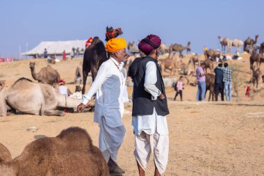 Puşkar, Rajasthan, Hindistan - 10 Kasım 2024: Geleneksel giysili rajasthani erkek portresi çöl panayırında renkli türbanlarla deve pazarında deve ticareti yaparken.