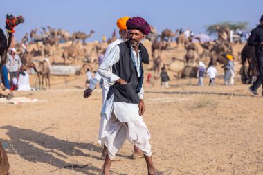 Puşkar, Rajasthan, Hindistan - 10 Kasım 2024: Geleneksel giysili rajasthani erkek portresi çöl panayırında renkli türbanlarla deve pazarında deve ticareti yaparken.