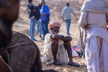 Puşkar, Rajasthan, Hindistan - 10 Kasım 2024: Geleneksel giysili rajasthani erkek portresi çöl panayırında renkli türbanlarla deve pazarında deve ticareti yaparken.