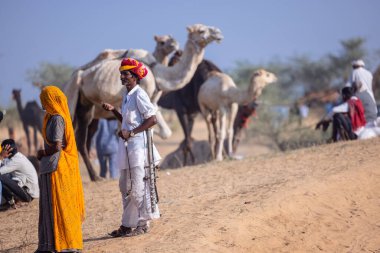 Puşkar, Rajasthan, Hindistan - 10 Kasım 2024: Geleneksel giysili rajasthani erkek portresi çöl panayırında renkli türbanlarla deve pazarında deve ticareti yaparken.