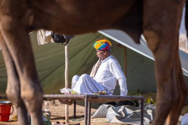 Puşkar, Rajasthan, Hindistan - 10 Kasım 2024: Deve ticareti sırasında geleneksel beyaz giysili rajasthani erkek portresi.
