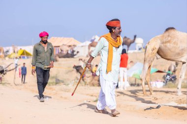 Puşkar, Rajasthan, Hindistan - 10 Kasım 2024: Geleneksel giysili rajasthani erkek portresi çöl panayırında renkli türbanlarla deve pazarında deve ticareti yaparken.