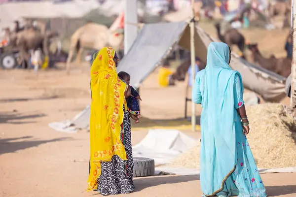 Puşkar, Rajasthan, Hindistan - 10 Kasım 2024: Pushkar Deve Fuarı sahasında, kimliği belirsiz, geleneksel renkli elbiseli Hintli bir kadının portresi.