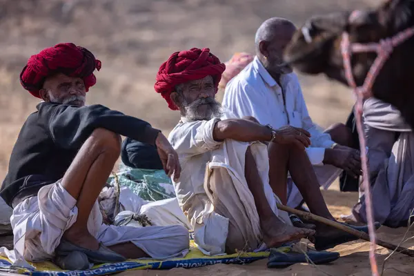 Puşkar, Rajasthan, Hindistan - 10 Kasım 2024: Geleneksel giysili rajasthani erkek portresi çöl panayırında renkli türbanlarla deve pazarında deve ticareti yaparken.