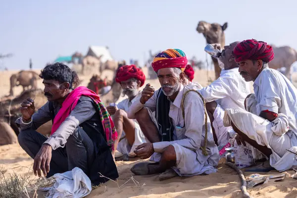 Puşkar, Rajasthan, Hindistan - 10 Kasım 2024: Geleneksel giysili rajasthani erkek portresi çöl panayırında renkli türbanlarla deve pazarında deve ticareti yaparken.