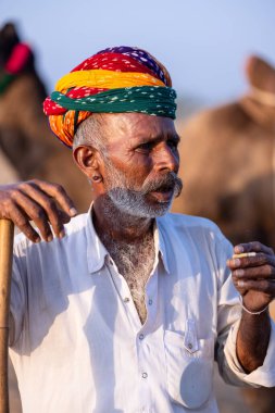Pushkar, Rajasthan, India - November 10, 2024: Portrait of a rajasthani male in traditional clothes at desert fairground during the pushkar camel fair for trading camels.
