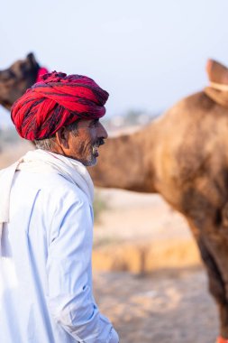 Pushkar, Rajasthan, India - November 10, 2024: Portrait of a rajasthani male in traditional clothes at desert fairground during the pushkar camel fair for trading camels.