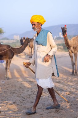 Pushkar, Rajasthan, India - November 10, 2024: Portrait of a rajasthani male in traditional clothes at desert fairground during the pushkar camel fair for trading camels.