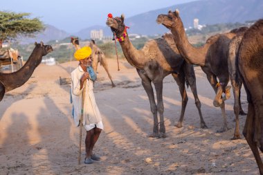 Pushkar, Rajasthan, India - November 10, 2024: Portrait of a rajasthani male in traditional clothes at desert fairground during the pushkar camel fair for trading camels.