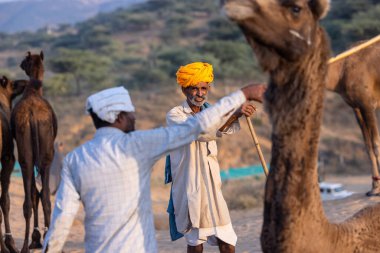 Puşkar, Rajasthan, Hindistan - 10 Kasım 2024: Geleneksel giysili bir Rajasthani insanının portresi.