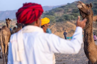 Puşkar, Rajasthan, Hindistan - 10 Kasım 2024: Geleneksel giysili bir Rajasthani insanının portresi.