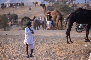 Pushkar, Rajasthan, India - November 10, 2024: Portrait of a rajasthani male in traditional clothes at desert fairground during the pushkar camel fair for trading camels.