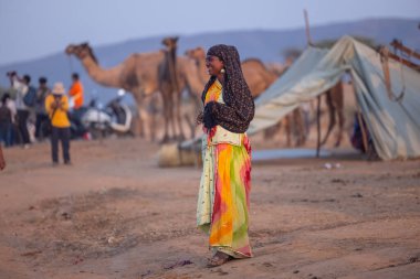 Puşkar, Rajasthan, Hindistan - 10 Kasım 2024: Geleneksel giysili bir Rajasthani insanının portresi.